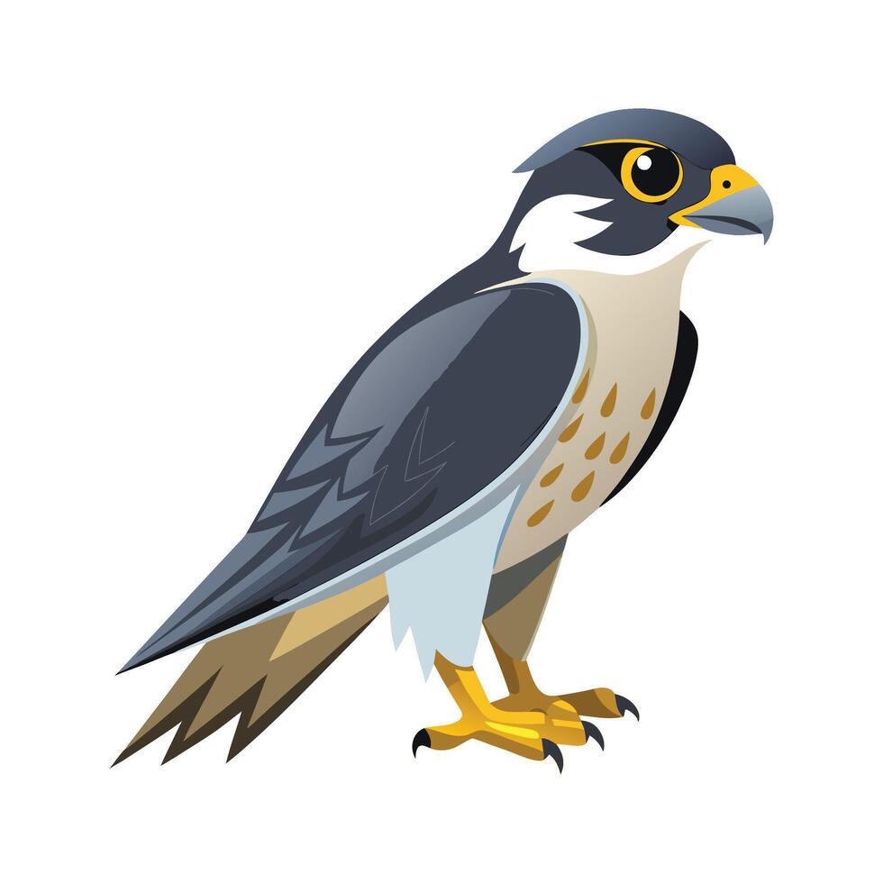 Charming Illustration of Falcon Bird vector