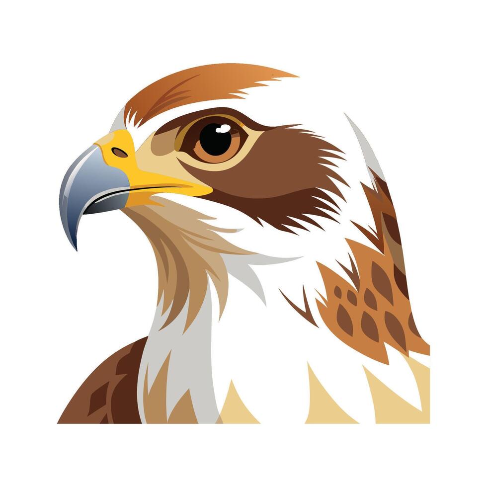 Unique Ferruginous Hawk Bird Artwork vector