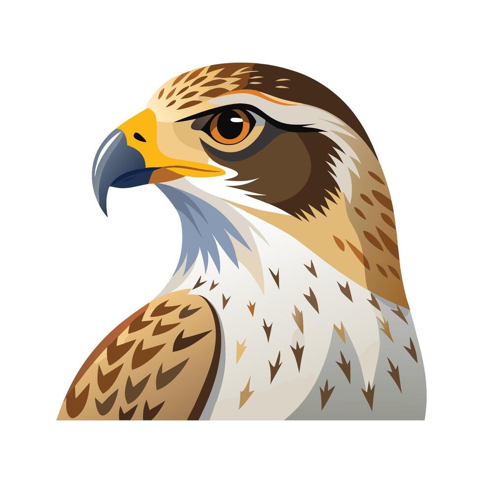 Stylish Ferruginous Hawk Artwork vector