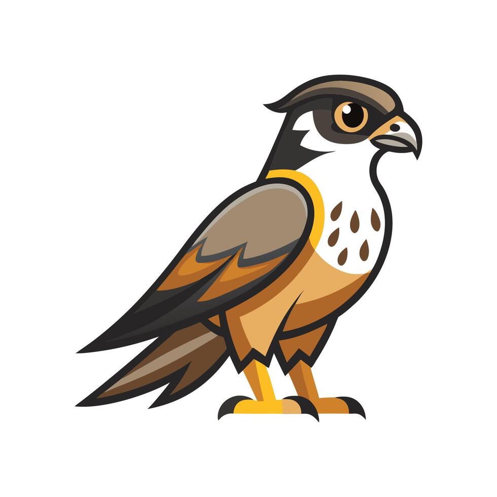 Elegant Falconet Bird Graphic vector