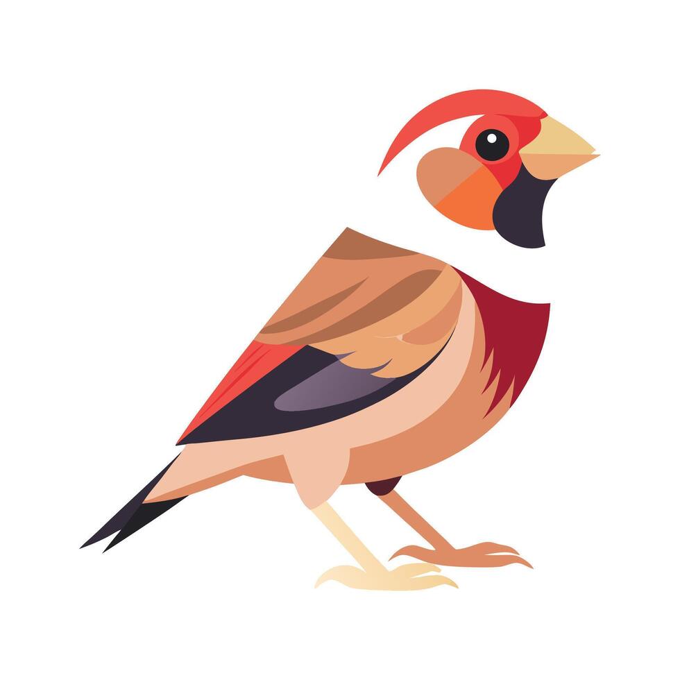 Stylish Finch Bird Artwork vector