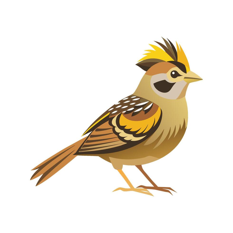 Charming GoldenCrowned Sparrow Bird Illustration vector