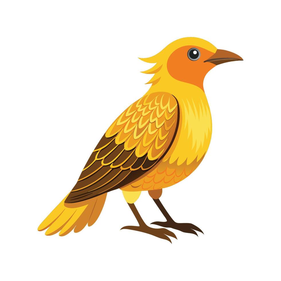 Unique Artwork of Golden Bowerbird vector