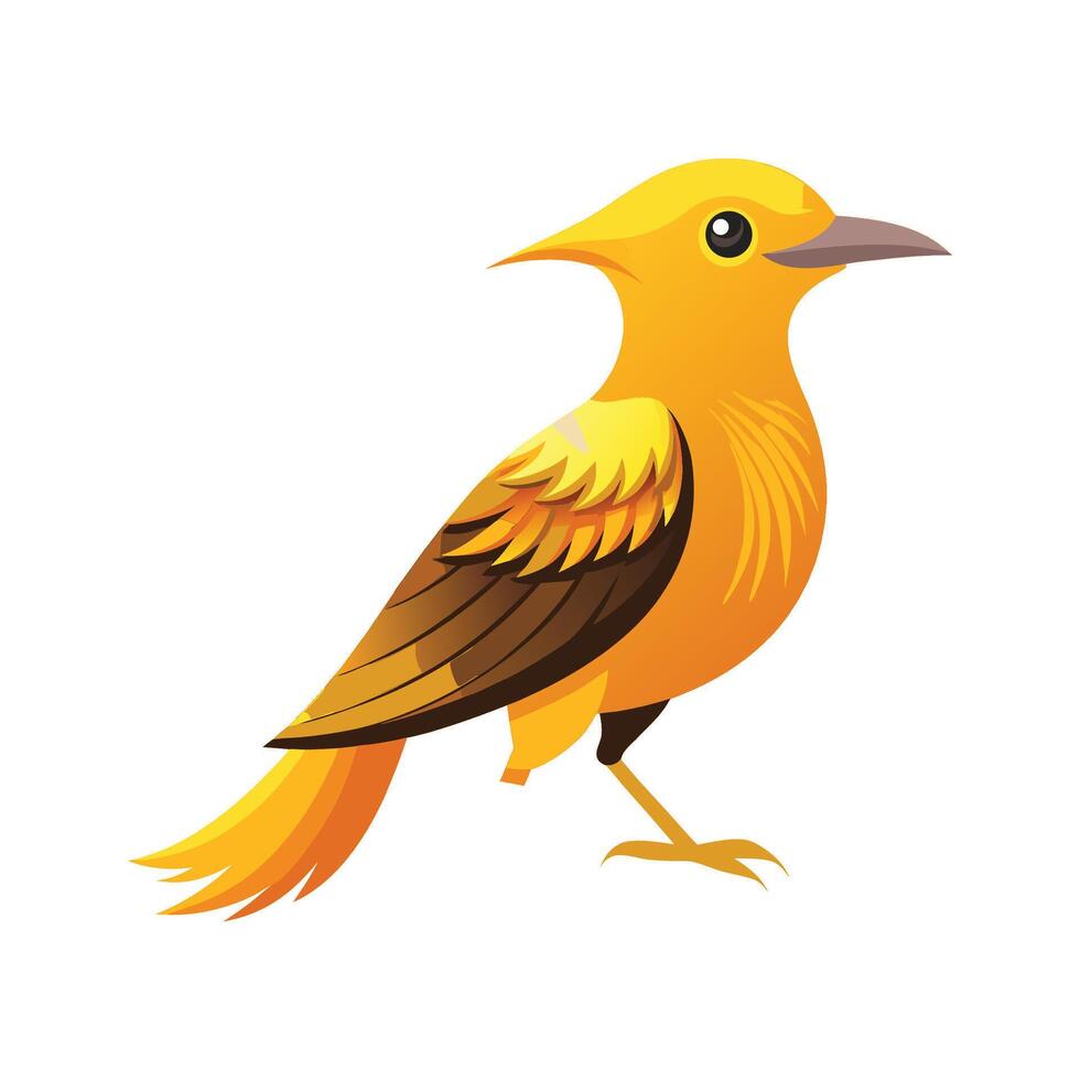 Stylish Illustration of Golden Bowerbird vector