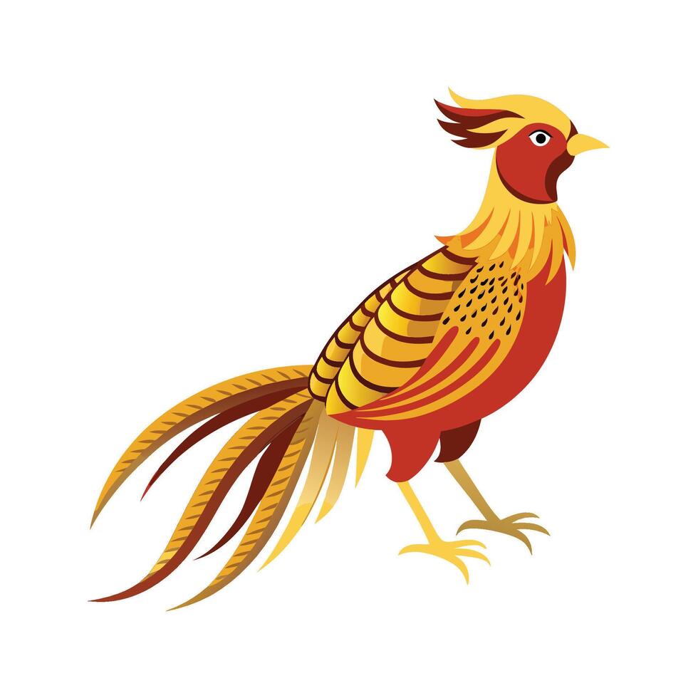 Stylish Golden Pheasant Bird Illustration vector