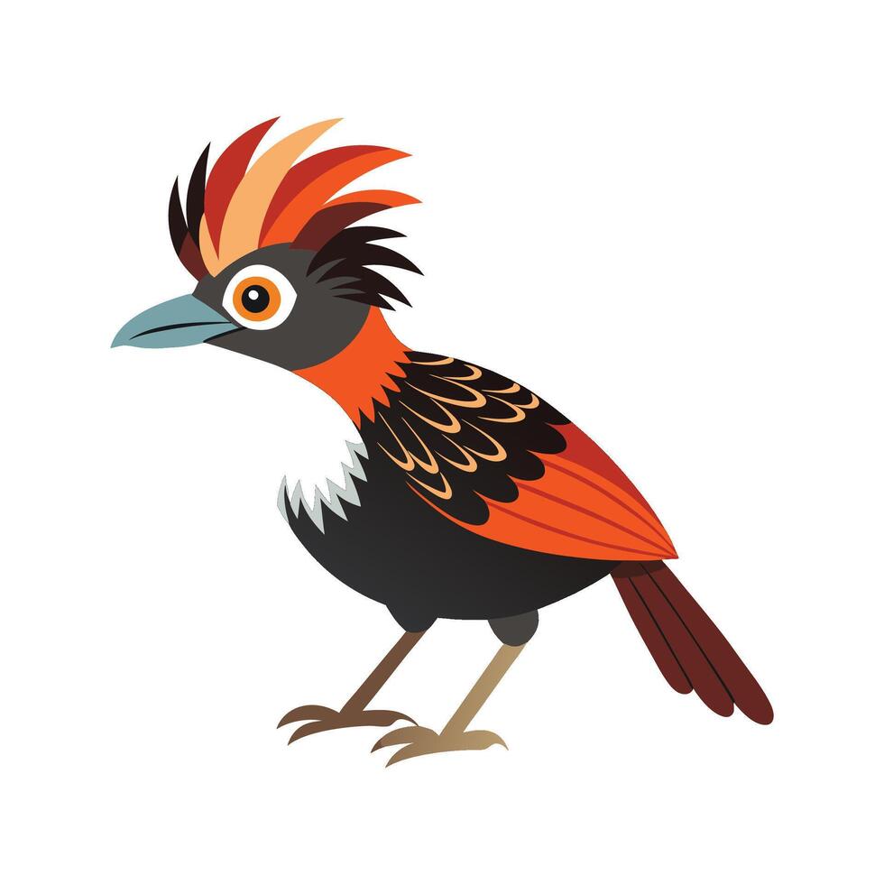 Elegant Great Antshrike Bird Graphic vector