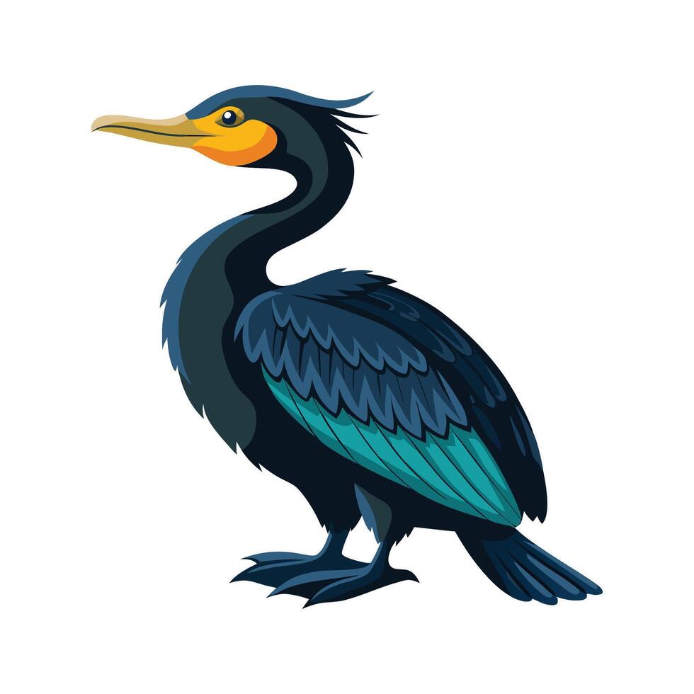 Unique Great Cormorant Bird Graphic vector
