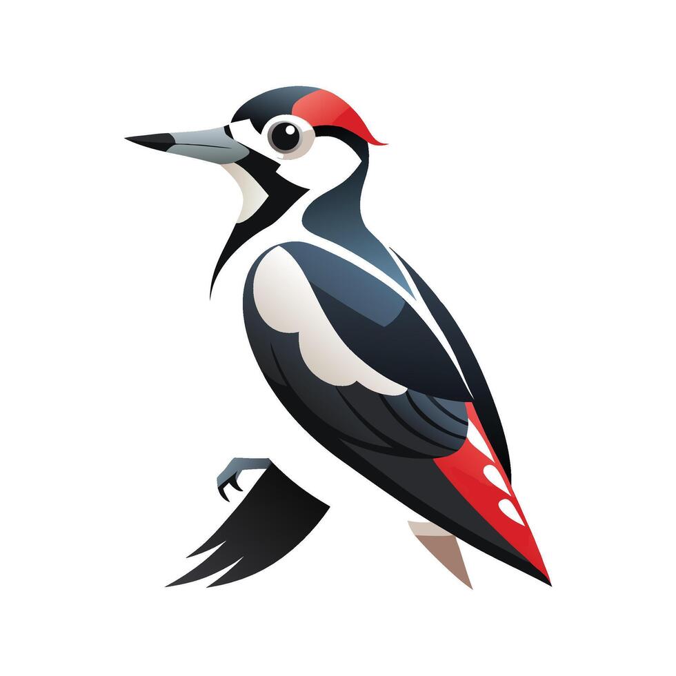 Charming Illustration of Great Spotted Woodpecker vector