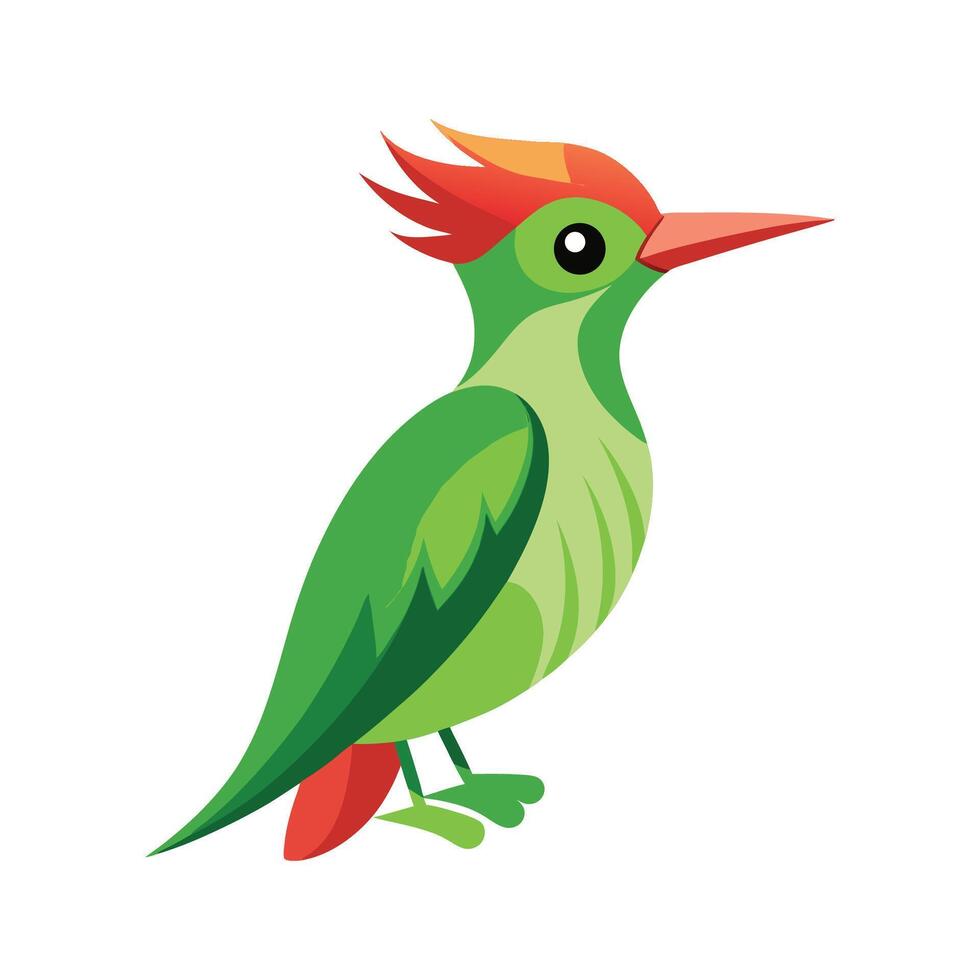 Charming Green Woodpecker vector