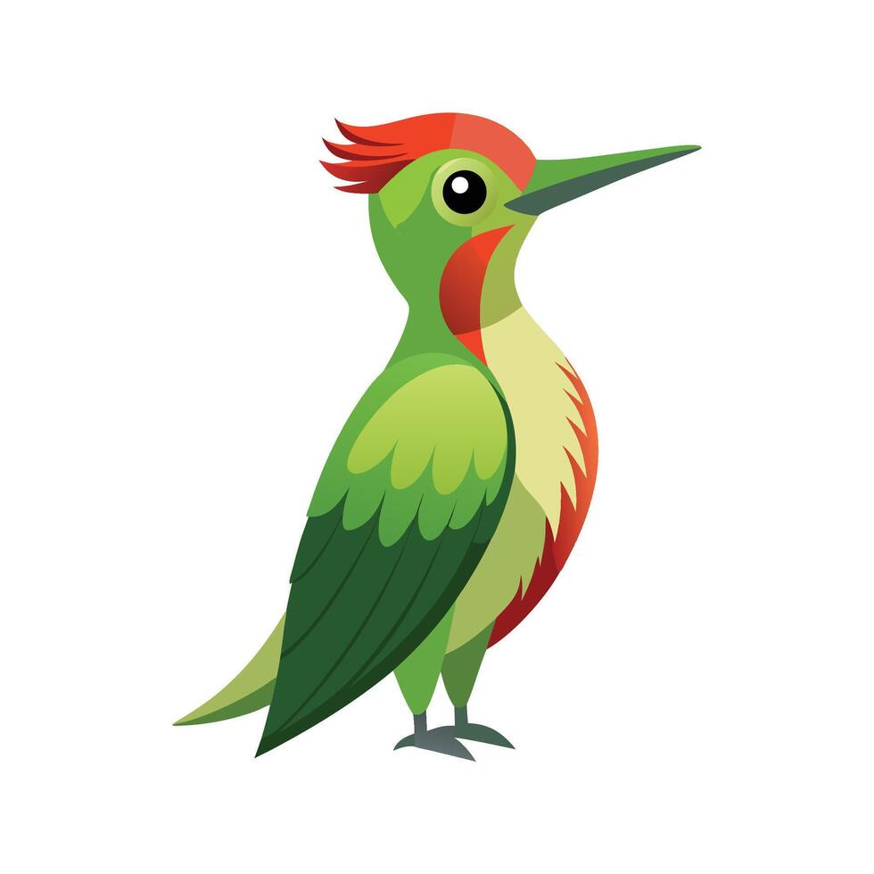 Stylish Illustration of Green Woodpecker vector