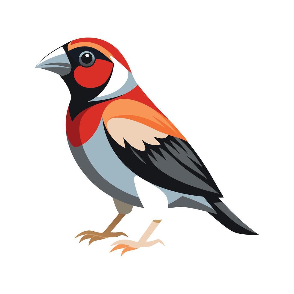 Unique Grosbeak Bird Artwork vector