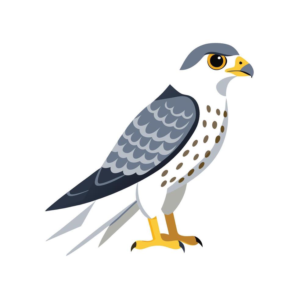 Majestic Gyrfalcon Bird Artwork vector
