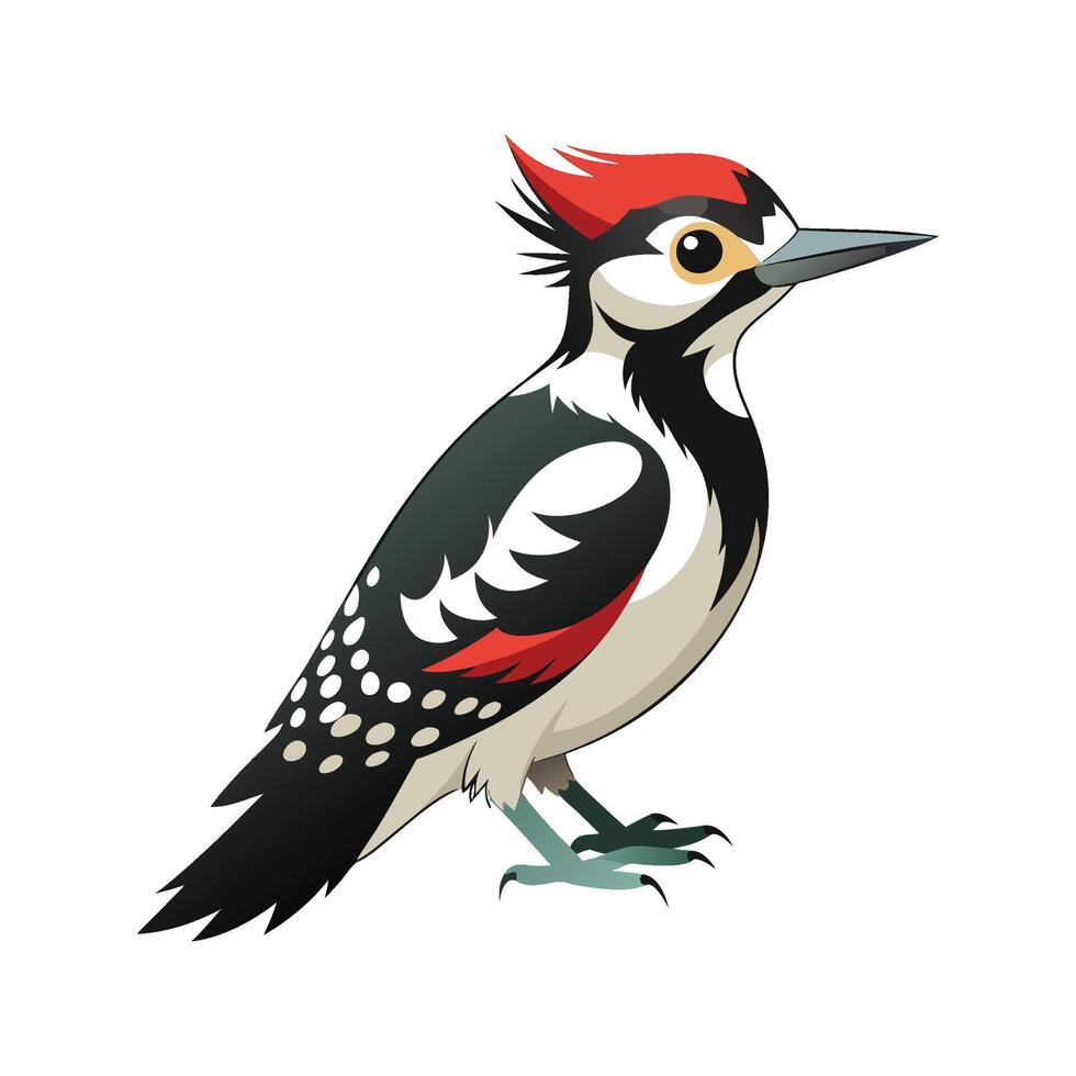 Unique Hairy Woodpecker Bird Artwork vector