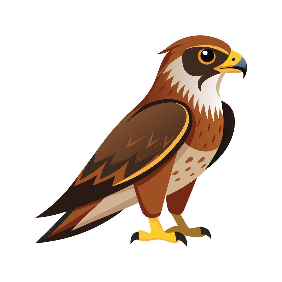 Majestic Hawk Bird Artwork vector