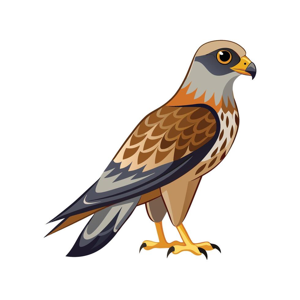 Stylish Harrier Bird Artwork vector