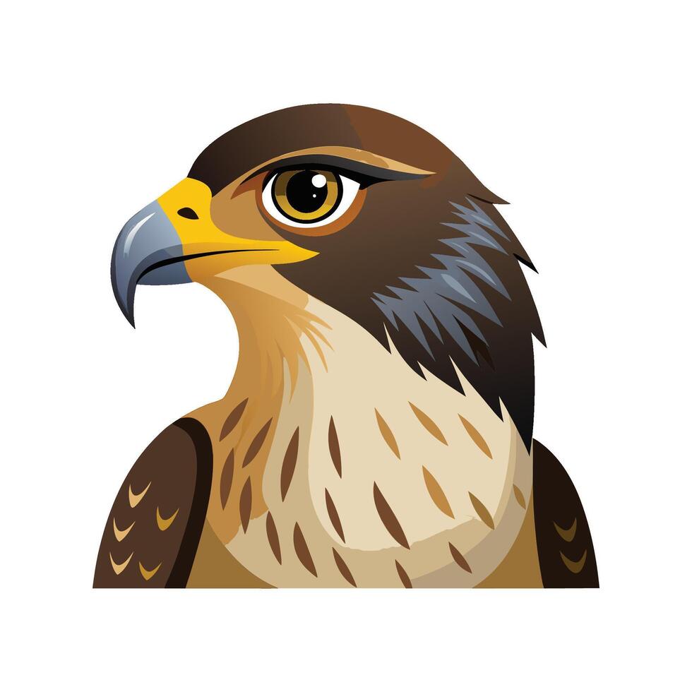 Elegant Hawk Bird Graphic vector