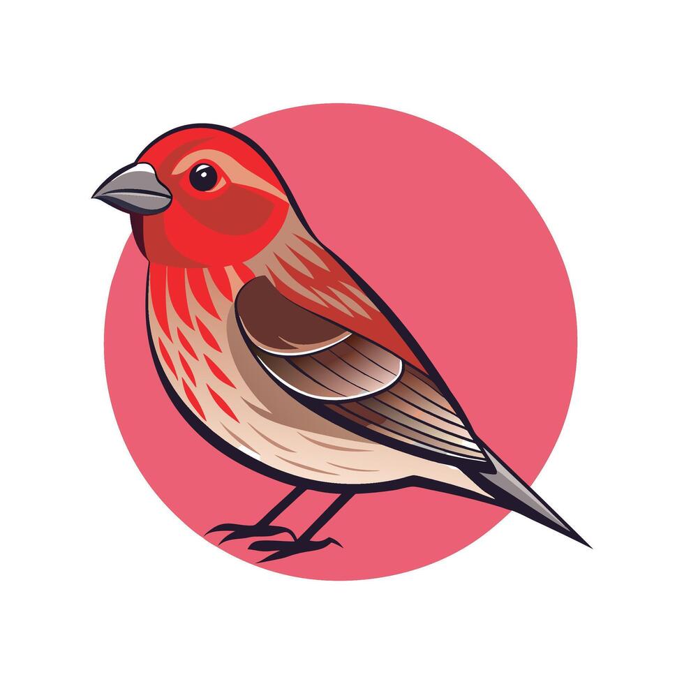 Charming House Finch Artwork vector