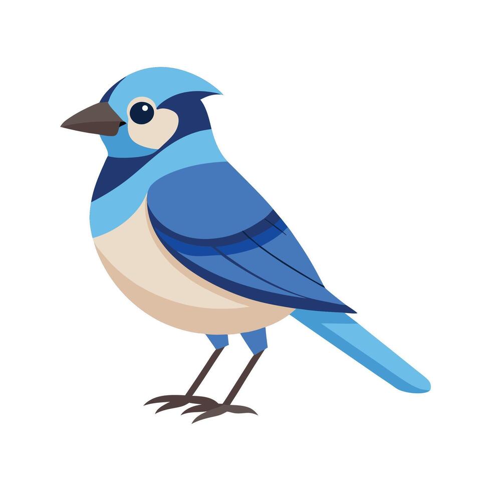 Charming Jay Bird Artwork vector