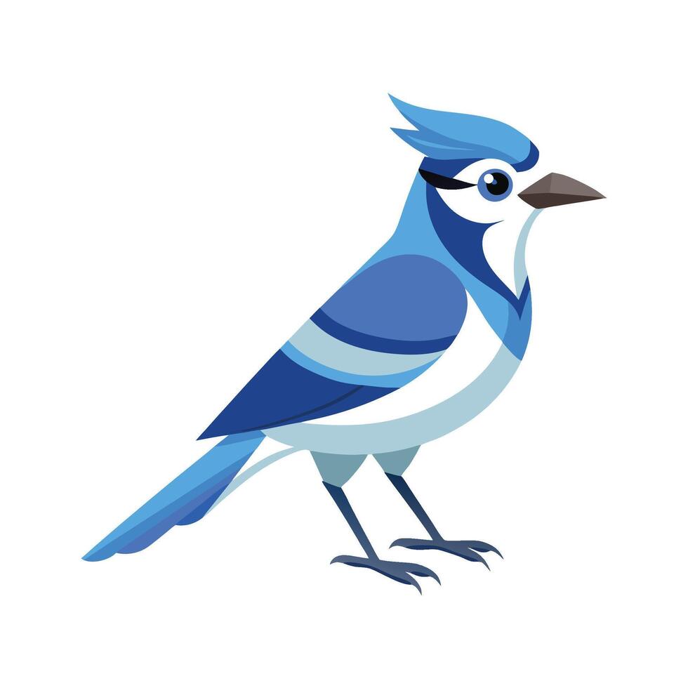 Unique Artwork of Jay Bird vector