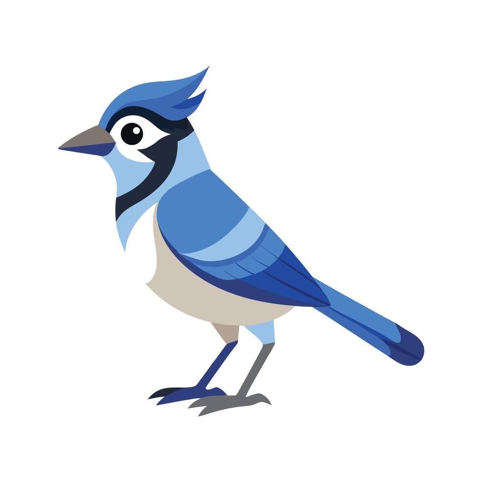 Stylish Illustration of Jay Bird vector