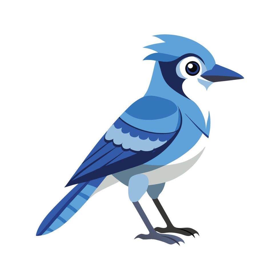 Elegant Jay Bird Artwork vector