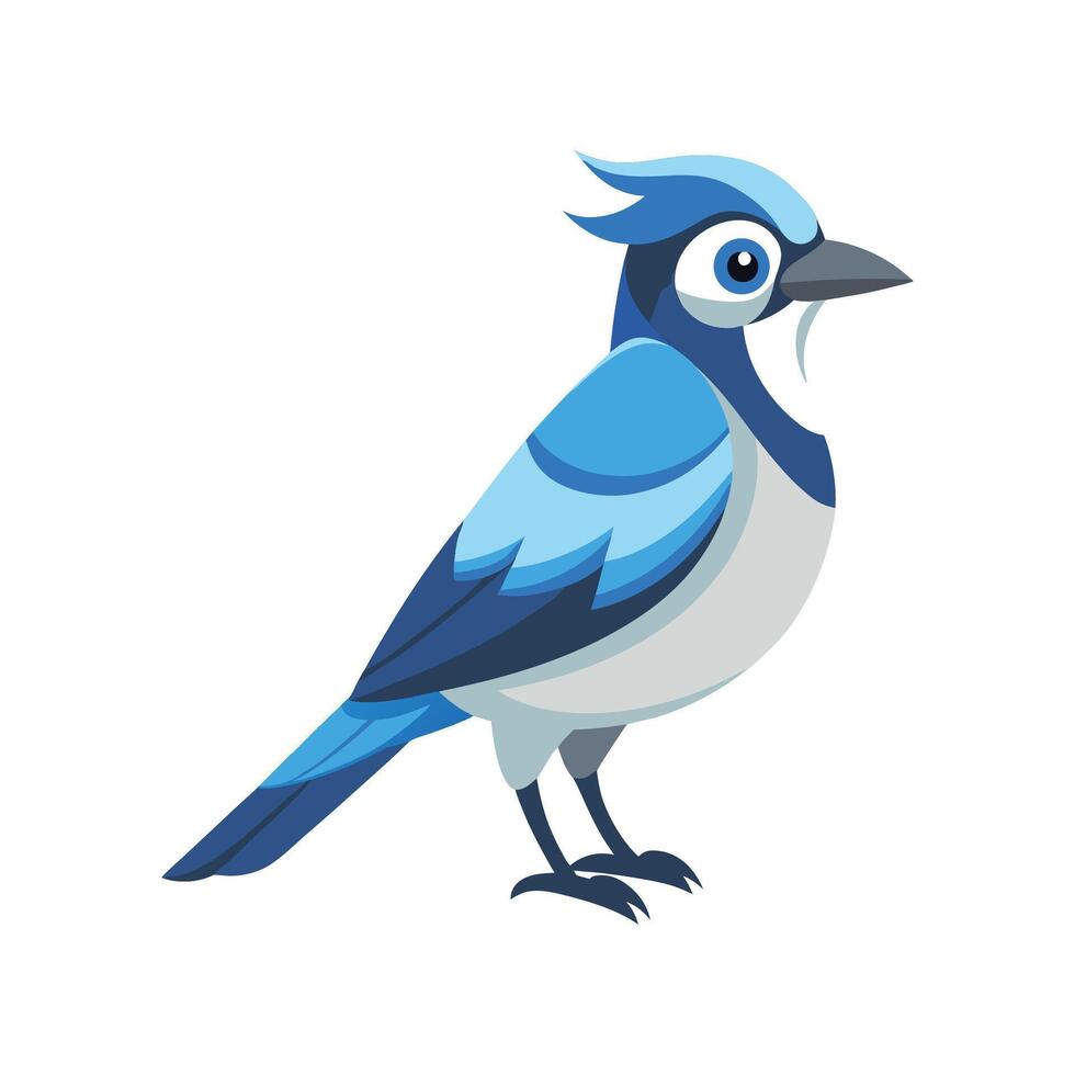Unique Illustration of Jay Bird vector