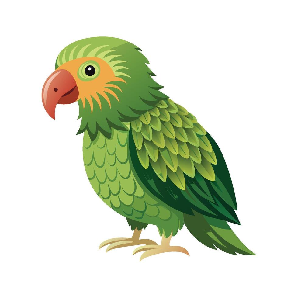 Elegant Artwork of Kakapo vector