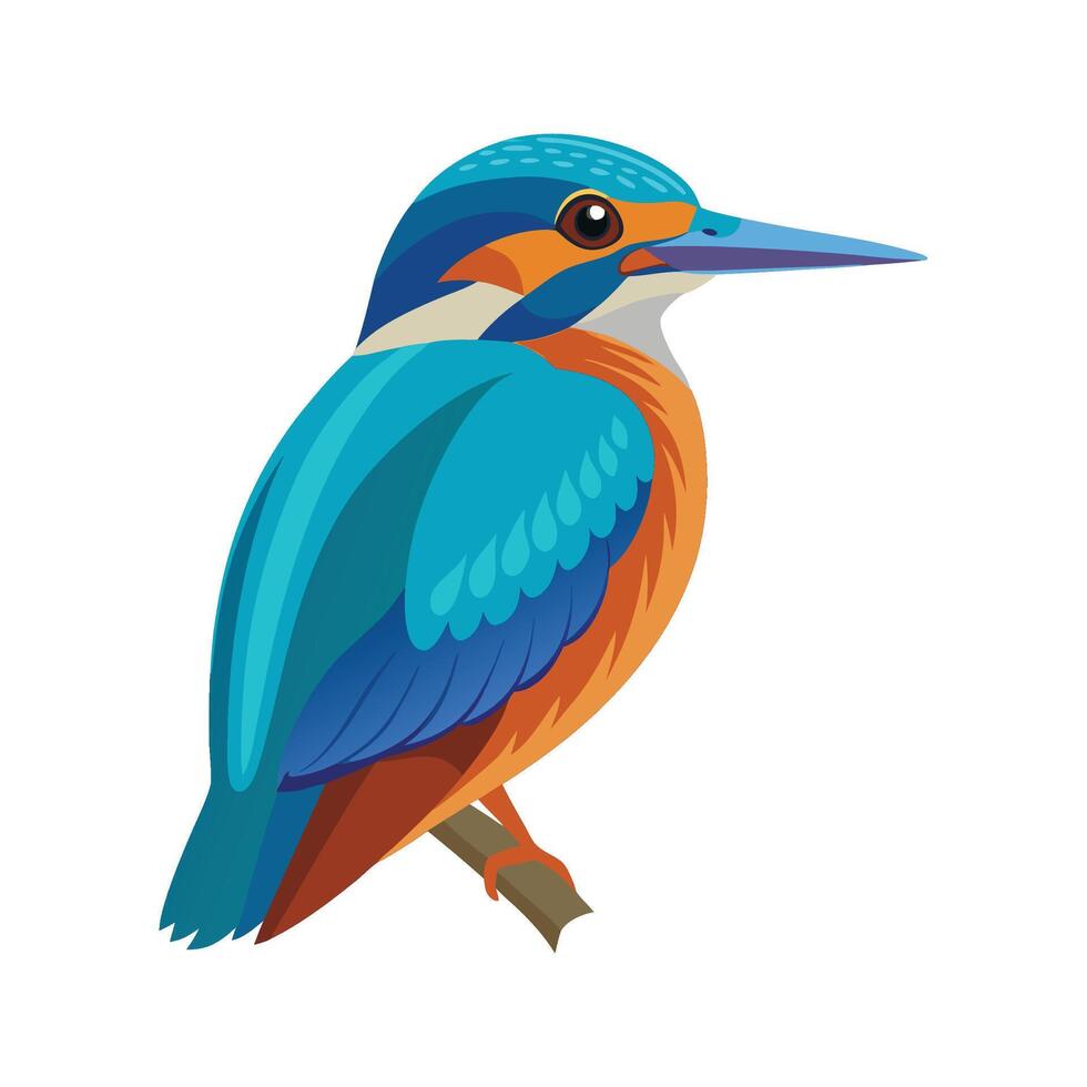 Elegant Kingfisher Bird Graphic vector