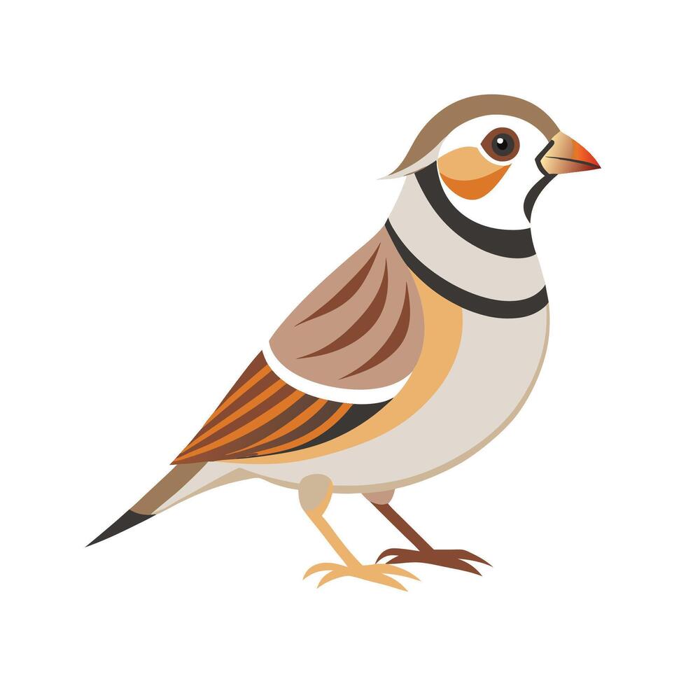 Stylish Lapland Longspur Bird Graphic vector