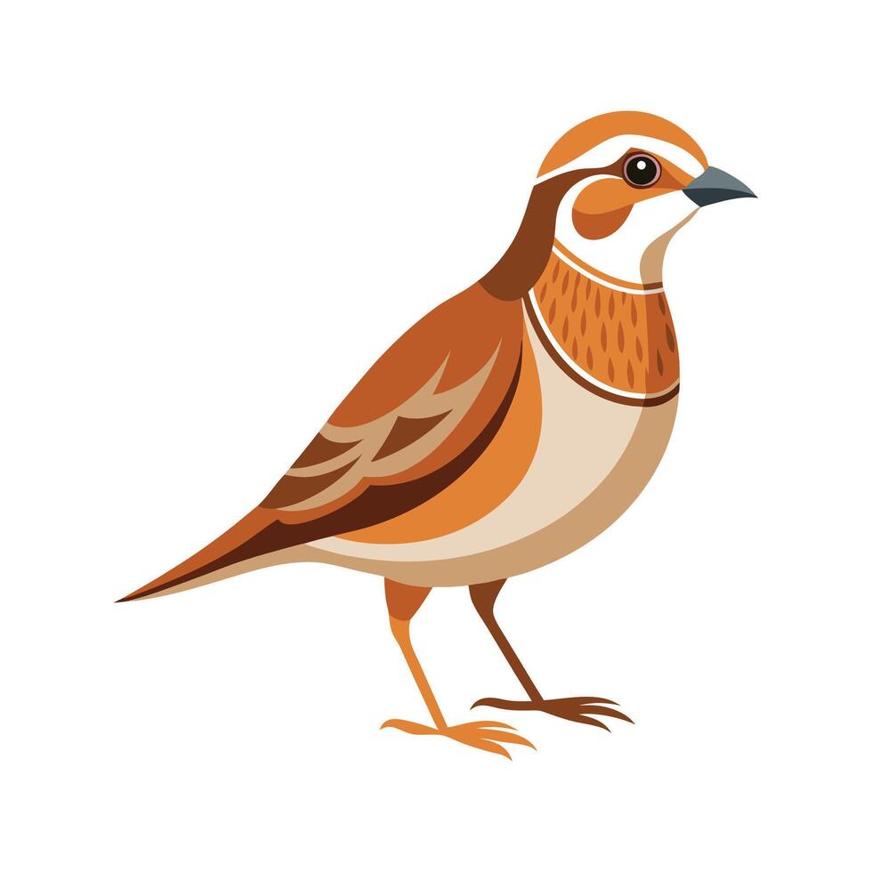 Majestic Lark Bird Artwork vector