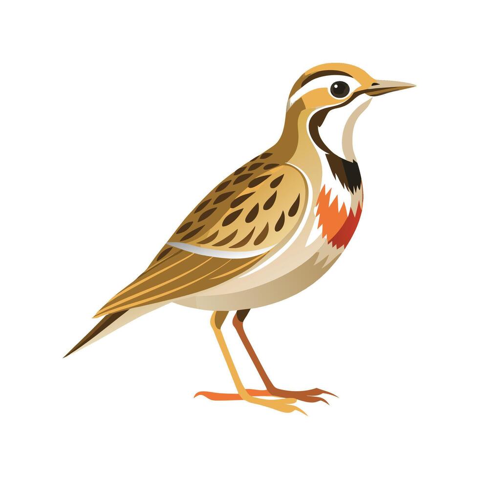 Charming Illustration of Lark vector