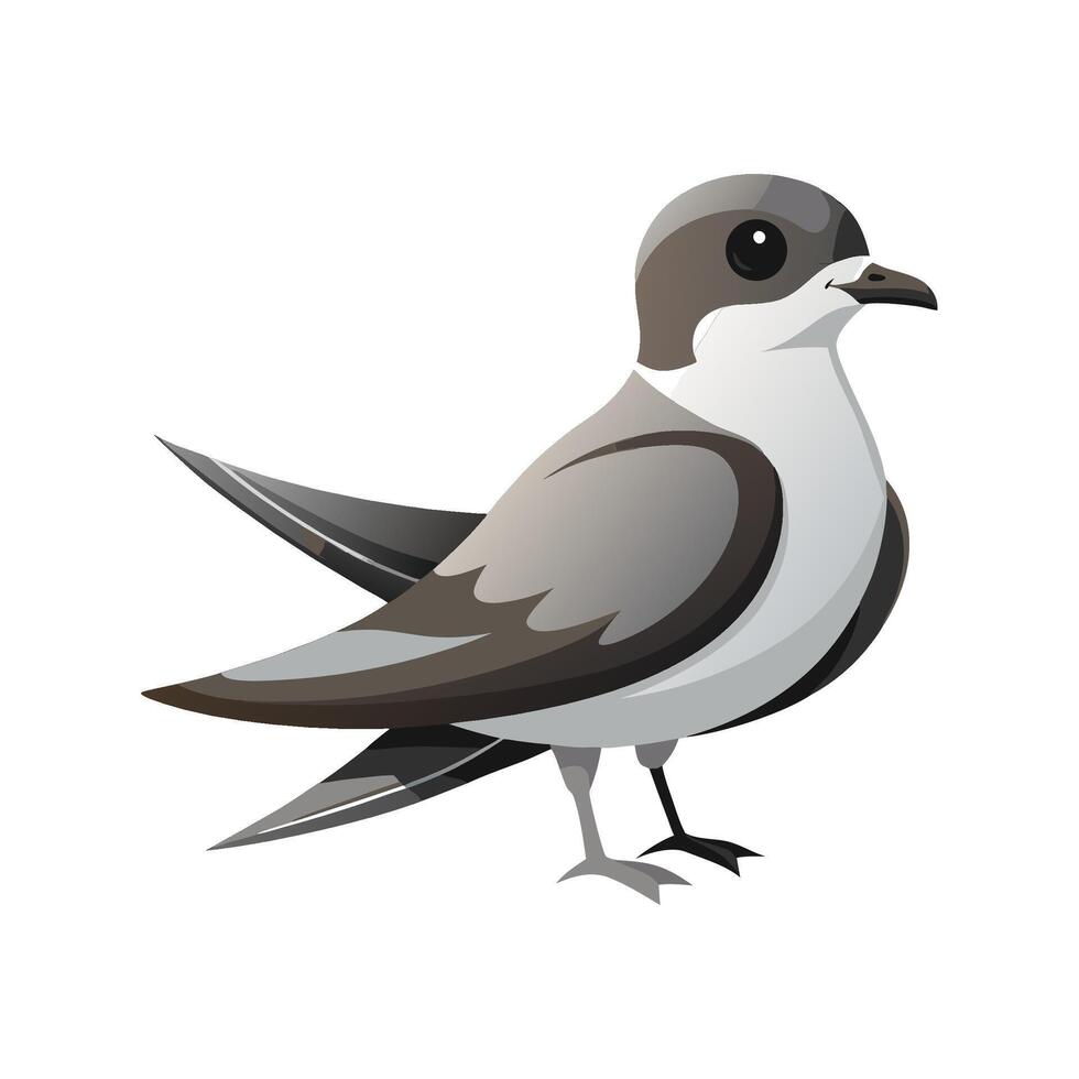 Stylish Illustration of Leachs StormPetrel vector