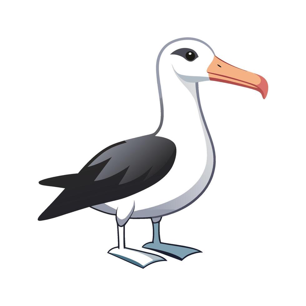 Charming Laysan Albatross Bird Artwork vector