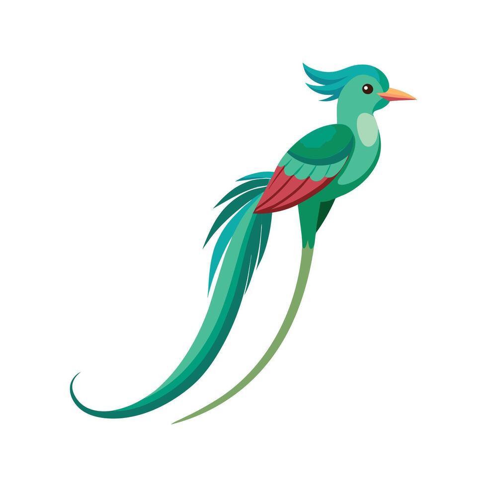 Charming Illustration of LongTailed Sylph vector