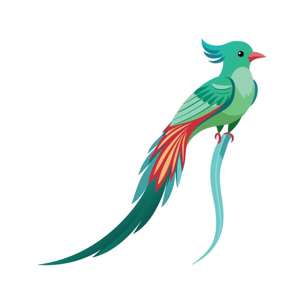 Stylish LongTailed Sylph Bird Artwork vector