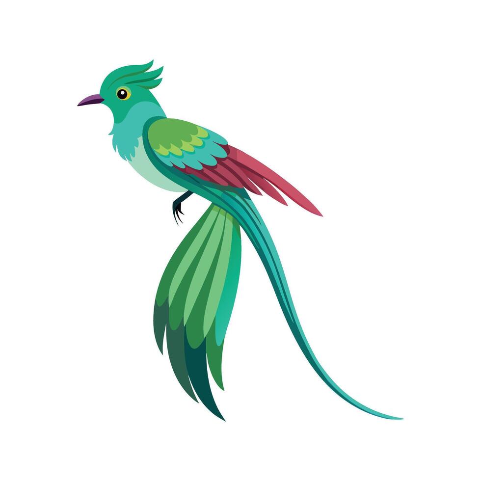 Majestic LongTailed Sylph vector