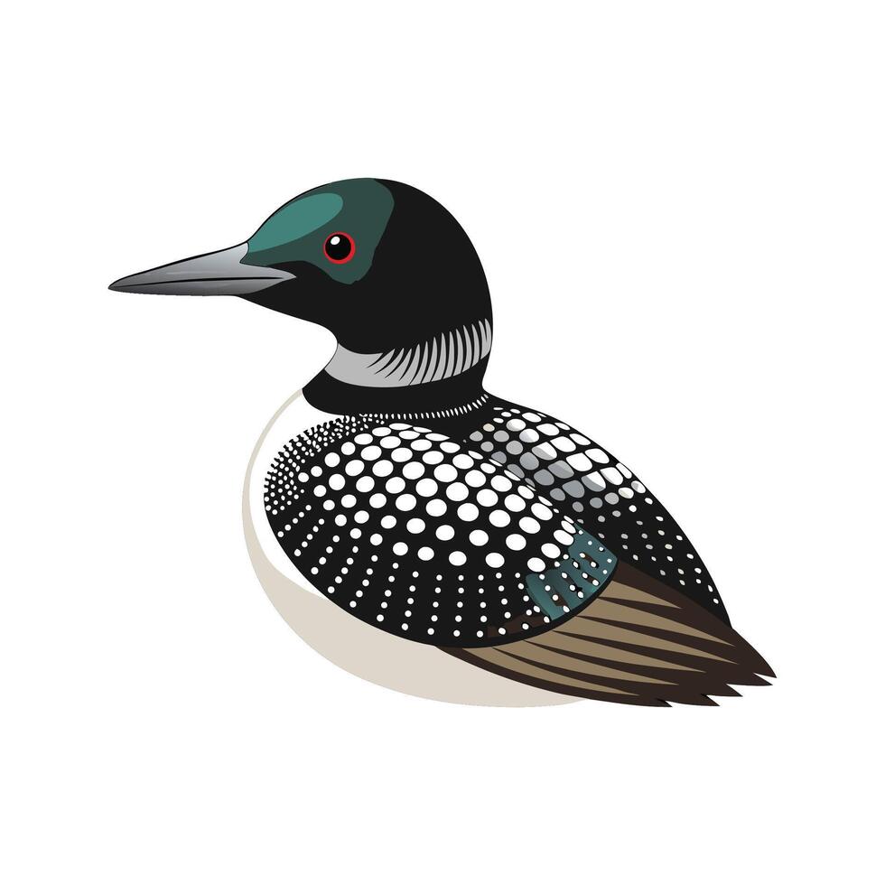 Charming Loon Bird Artwork vector