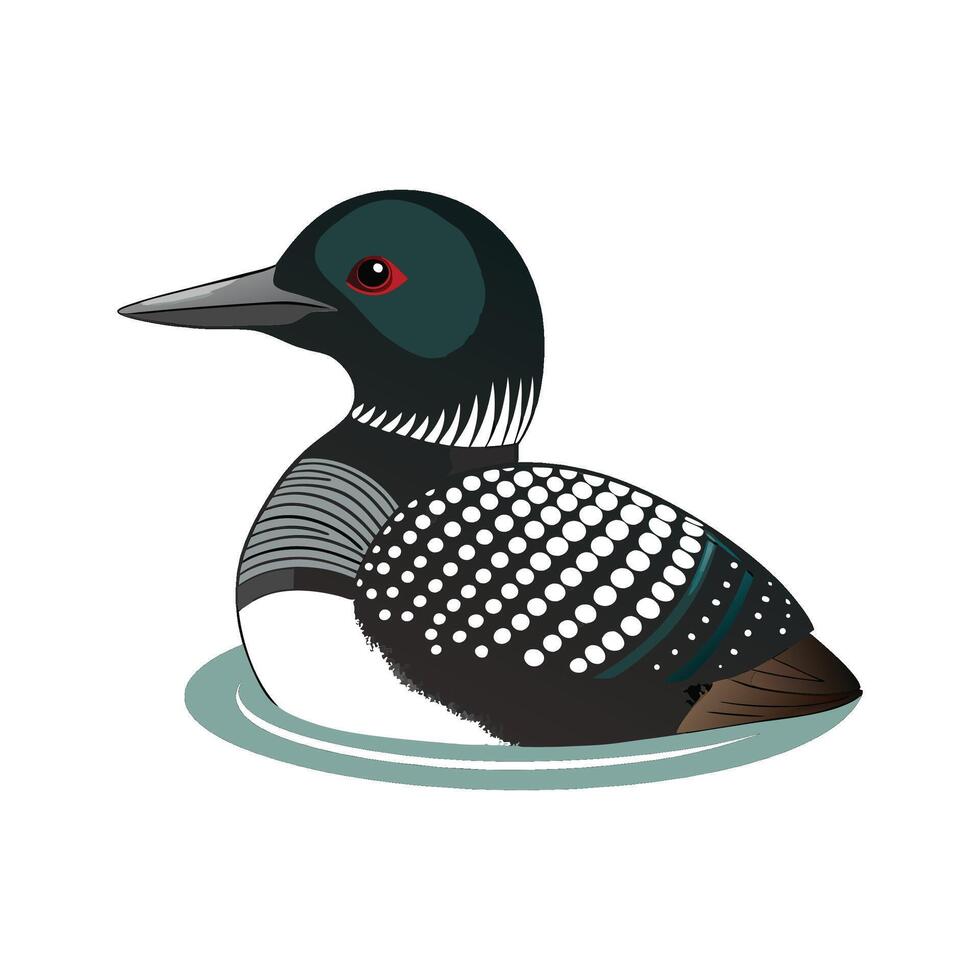 Elegant Loon Bird Graphic vector