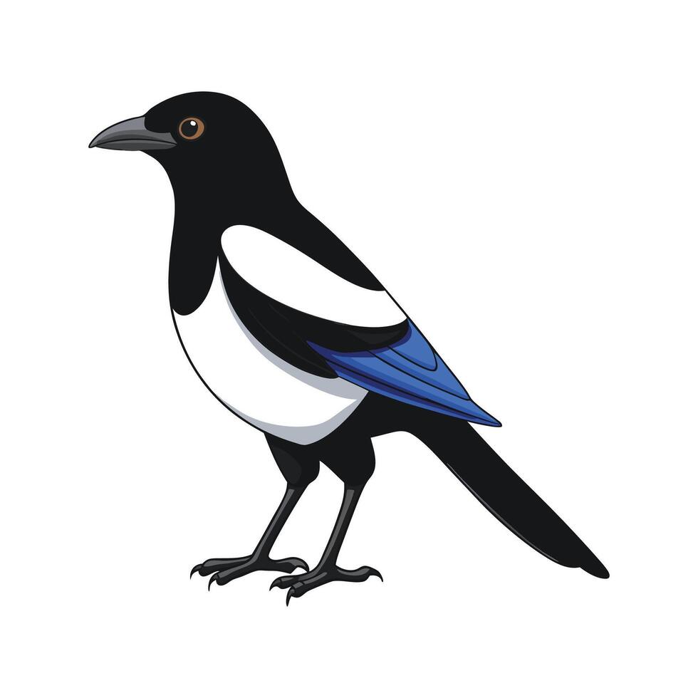 Unique Magpie Bird Artwork vector