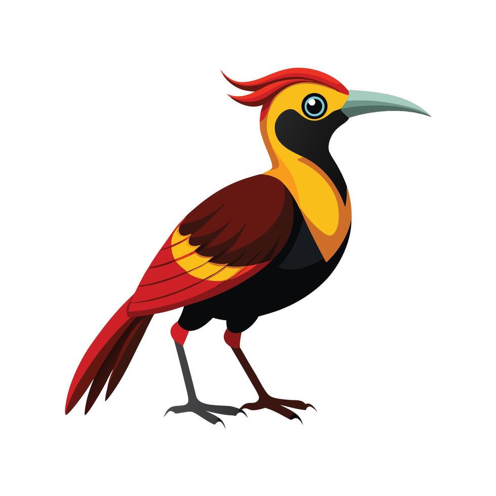 Majestic Magnificent Riflebird vector