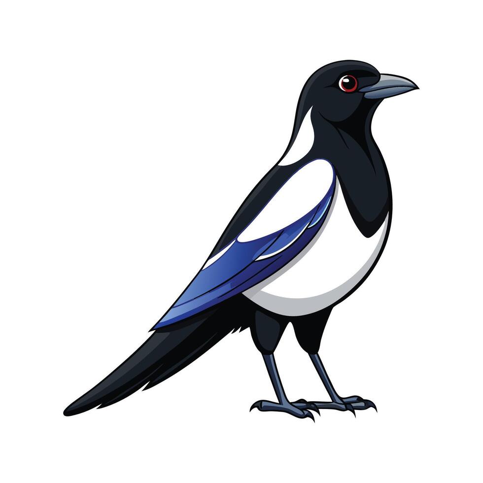 Charming Illustration of Magpie vector