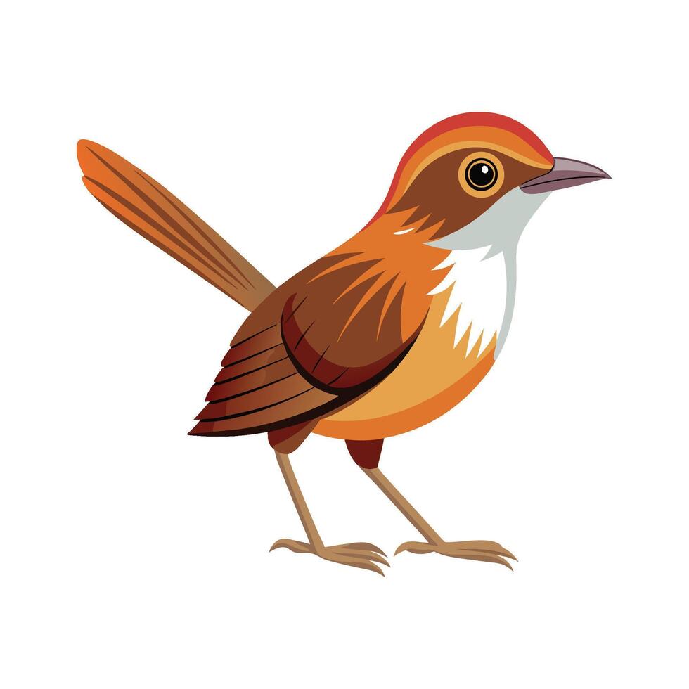 Stunning Malaysian Rail Babbler Artwork vector