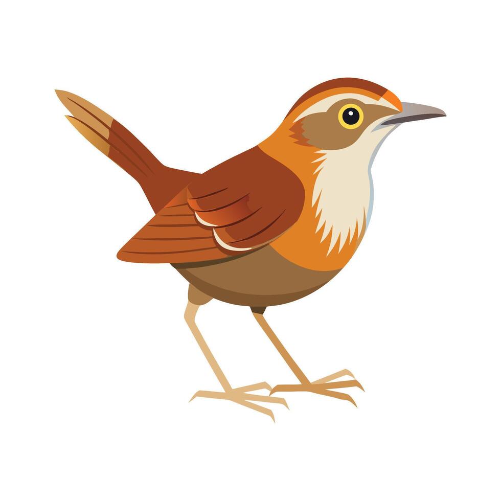 Charming Malaysian Rail Babbler vector