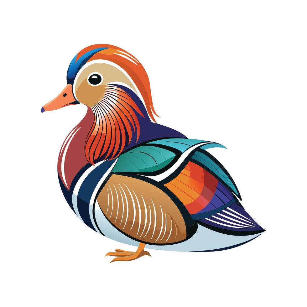 Colorful Mandarin Duck Illustration vector