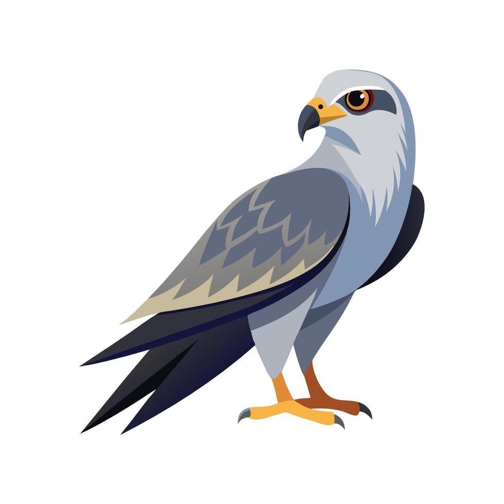 Elegant Mississippi Kite Artwork vector