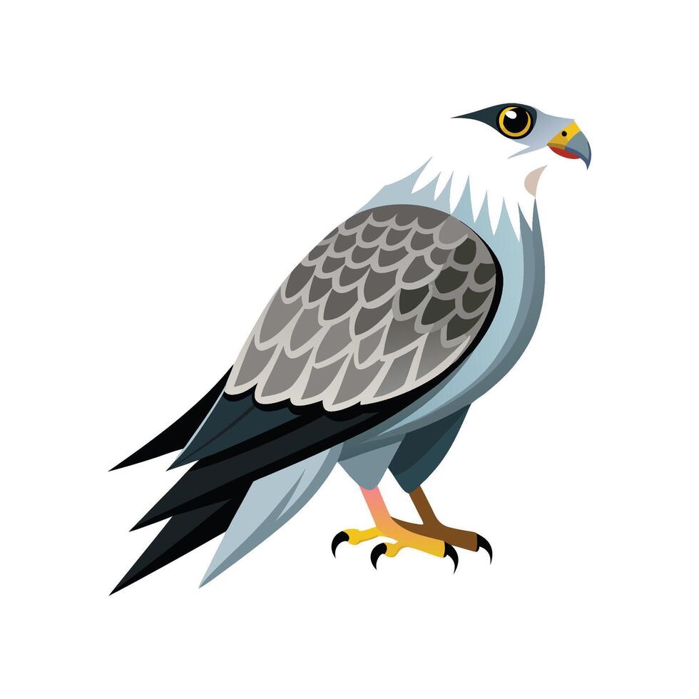 Vibrant Mississippi Kite vector
