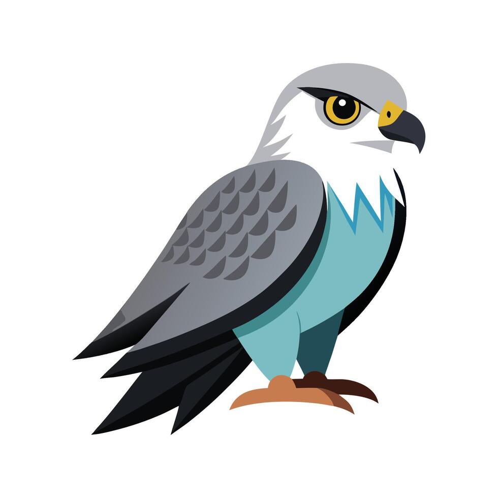 Dramatic Mississippi Kite Illustration vector