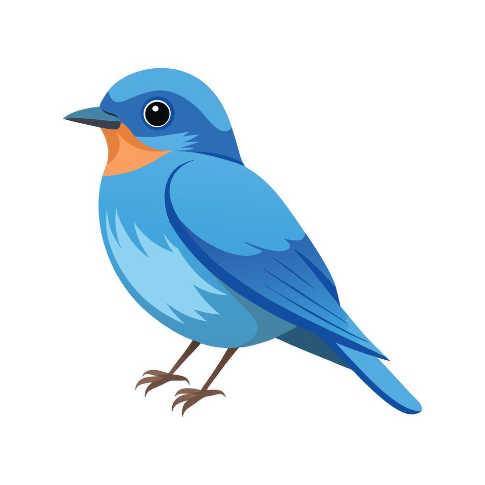 Beautiful Mountain Bluebird Illustration vector