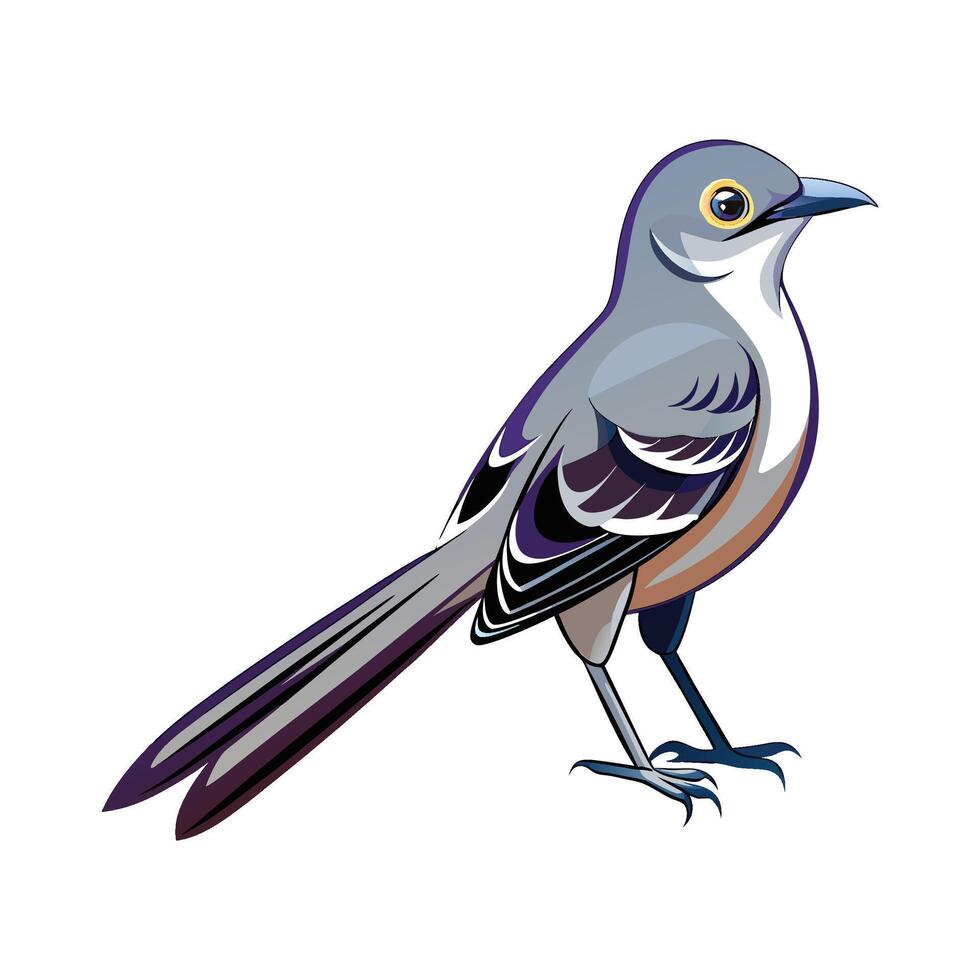 Charming Mockingbird Illustration vector