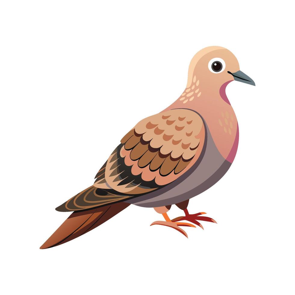 Stunning Mourning Dove vector